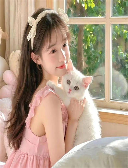 丧失名誉的卡塔琳娜布鲁姆的文化分析：无人机拍摄的视角与稳定性 认识电影作为文化载体的功能